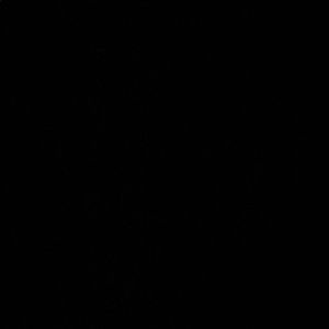 Meet your Posher, Madisyn